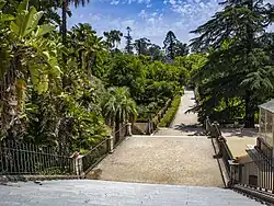 Le jardin botanique.