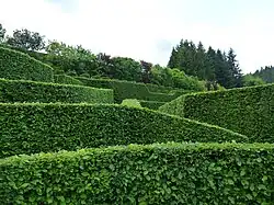 Labyrinthe du Jardin Flipper