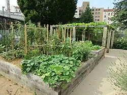 Jardinage en carrés (France).