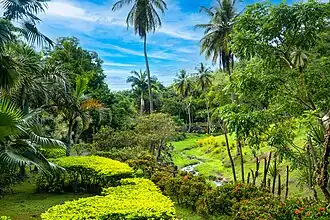 Image illustrative de l’article Zoo de Martinique