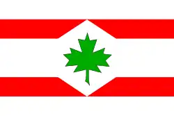Drapeau de Javorník