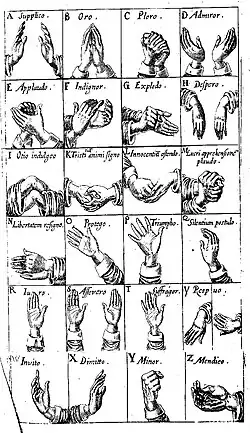 tableau de 24 dessins de mains dessinées dans diverses positions.