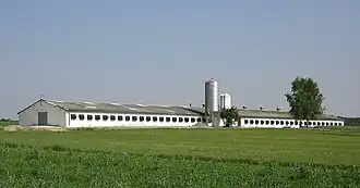 Jedlanka Stara