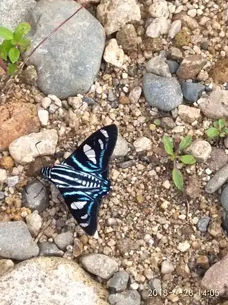 Description de cette image, également commentée ci-après