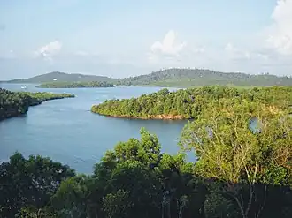 Paysage vu du pont Tuanku Tambusai qui relie l'île de Rempang et l'île de Galang.