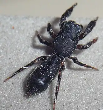 Description de cette image, également commentée ci-après