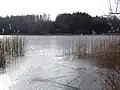 Le lac de Pławno.