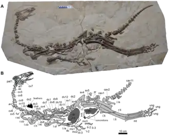 Description de cette image, également commentée ci-après