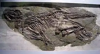 Description de cette image, également commentée ci-après