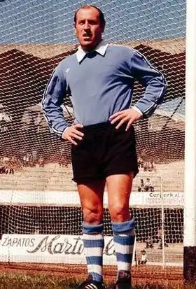 Image illustrative de l’article Joan Capó