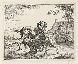 Chien et chienne, gravure, (1661)