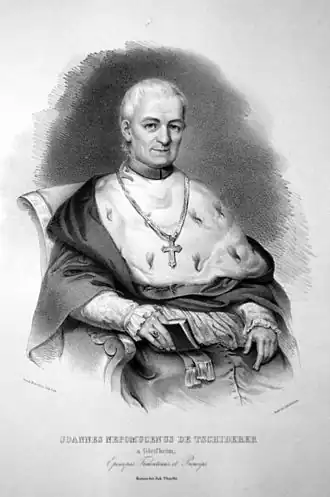 Image illustrative de l’article Jean Nepomucène de Tschiderer