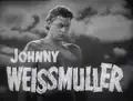 Johnny Weissmuller