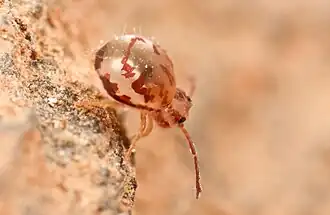 Description de cette image, également commentée ci-après