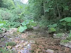 Descente vers le hameau du Moulin.