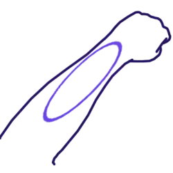 Haiwan, revers de l'avant-bras.