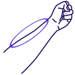 Naiwan, côté intérieur de l'avant bras (dans le prolongement du pouce).