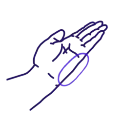 Shutō, tranchant extérieur de la main (côté auriculaire).