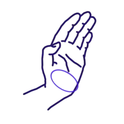 Teisho, technique de main principale du kata Tensho (frappe du talon de la main, doigts ouverts avec la dernière phalange pliée).