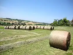 Campagne environnante en juin 2010.