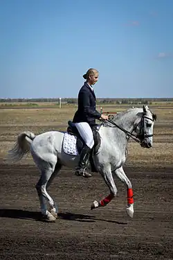 Photographie d'un cheval gris vu de profil monté par une cavalière.