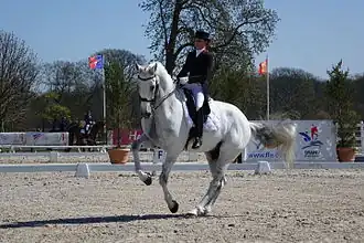 Image illustrative de l’article Julia Chevanne