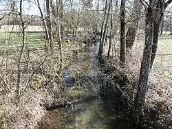 Le Buffebale à Saint-Just.