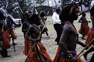 Danseurs traditionnels