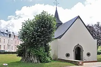 Clemency (Käerjeng)