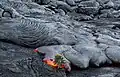 Progression d'une coulée de pāhoehoe en lobes sur le Kīlauea.