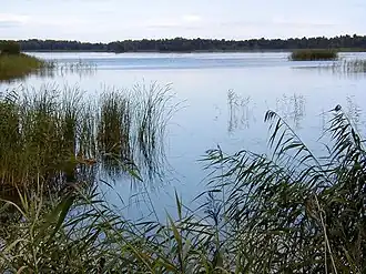 Image illustrative de l’article Kaņieris