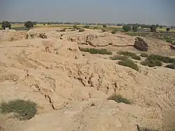 Ruines de Kalibangan.