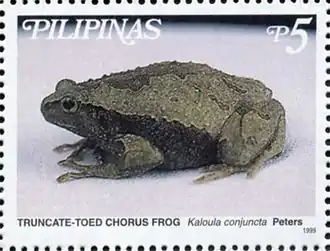 Description de l'image Kaloula conjuncta 1999 stamp of the Philippines.jpg.