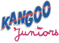 Description de l'image Kangoo Juniors.png.