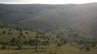 Réserve botanique classée