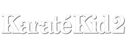 Description de l'image Karaté Kid - Le Moment de vérité 2.png.