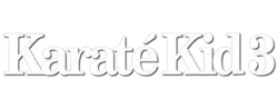 Description de l'image Karaté Kid 3.png.