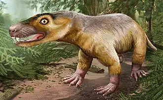 Description de cette image, également commentée ci-après