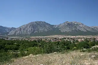 Kargı