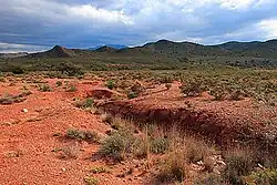 Paysage du Karoo