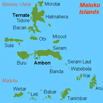 Image illustrative de l’article Ambon (île)