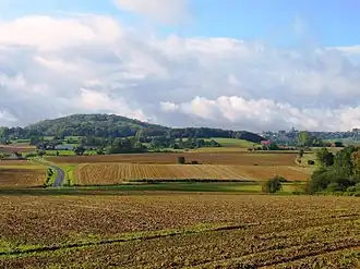 Vue du mont des Récollets depuis Steenvoorde, avec, à droite, Cassel.