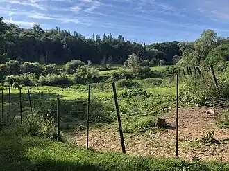 Image illustrative de l’article Kauwberg