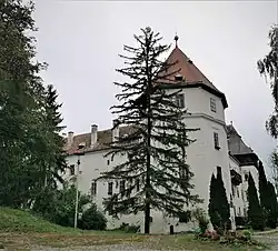 Château Kemény à Brâncovenești