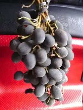 Description de l'image Keranji.jpg.