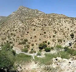 Photo en couleurs d'un paysage aride parsemé de petits buissons