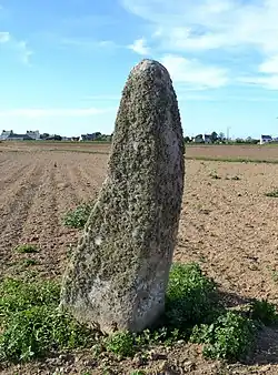 Image illustrative de l’article Menhir de Kervizouarn
