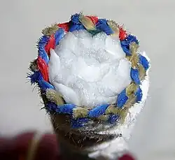 Vue en coupe d'une corde dynamique fabriquée par Sterling Rope