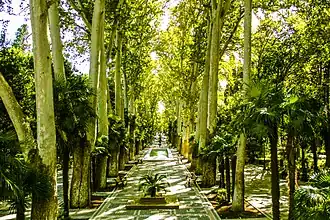 Image illustrative de l’article Jardin de Khan