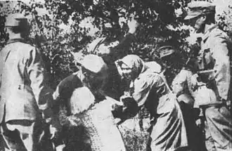 Image illustrative de l’article Action Zamość
